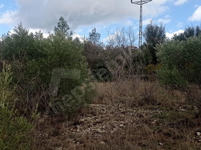 1.600m2 YERLEŞİM İÇERİSİNDE ARAZİ - Görsel 5