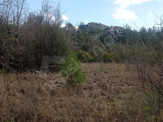 1.600m2 YERLEŞİM İÇERİSİNDE ARAZİ - Görsel 3