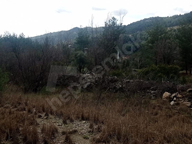 1.600m2 YERLEŞİM İÇERİSİNDE ARAZİ - Görsel 2