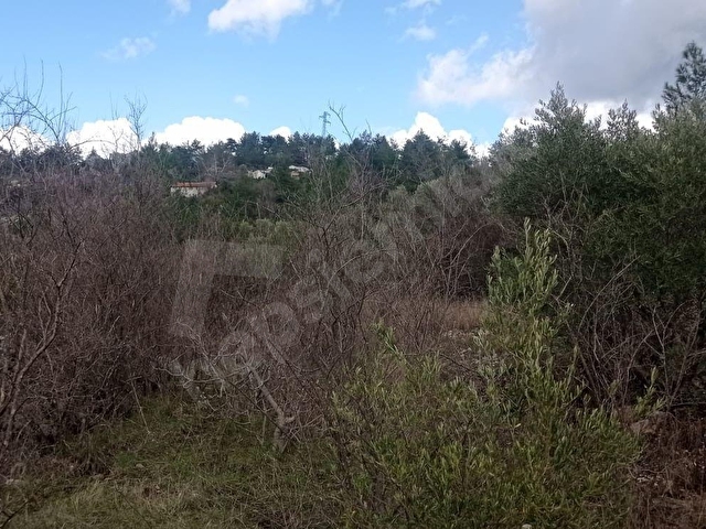 1.600m2 YERLEŞİM İÇERİSİNDE ARAZİ - Görsel 4