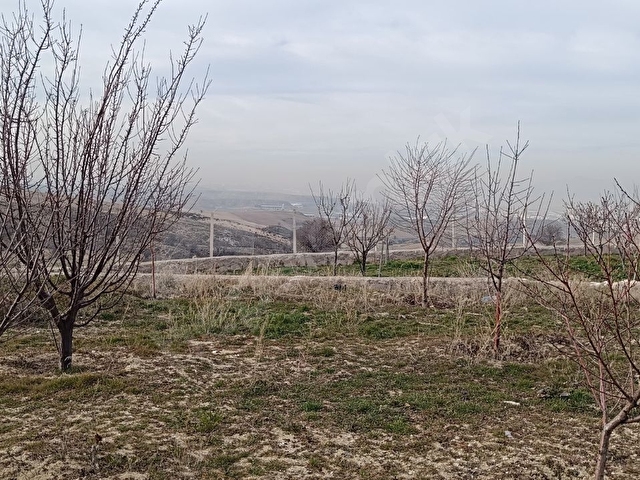 PUSULADAN K.KAZAN ORHANİYEDE ÜZERİNDE 3+1 EV OLAN 1000M2 BAHÇE - Görsel 26