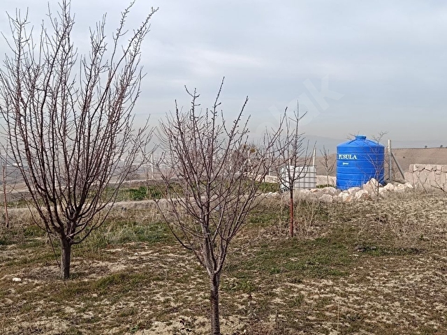 PUSULADAN K.KAZAN ORHANİYEDE ÜZERİNDE 3+1 EV OLAN 1000M2 BAHÇE - Görsel 21
