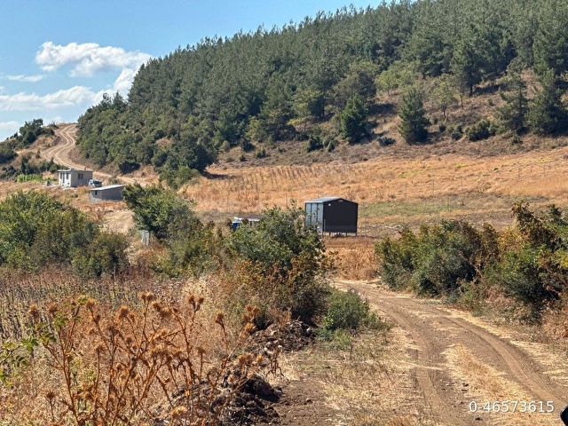 Çelebi köyünde 10 dönüm ,çift taraflı kadastro yoluna cephe ,manzaralı havadar arazi