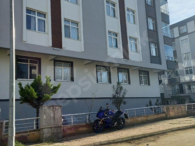 KİRALIK -Depolama, e-ticaret, lojistik ve çeşitli ticari faaliyetler için uygundur - Görsel 2
