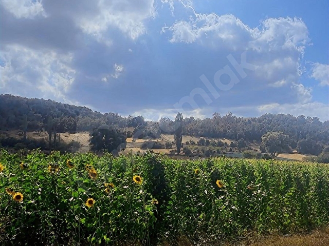 BİLECİK OSMANELİ BOYUNKAYA MAHALLESİ CADDE ÜZERİ 3.500m2 SATILIK - Görsel 16