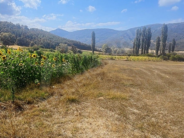 BİLECİK OSMANELİ BOYUNKAYA MAHALLESİ CADDE ÜZERİ 3.500m2 SATILIK - Görsel 9