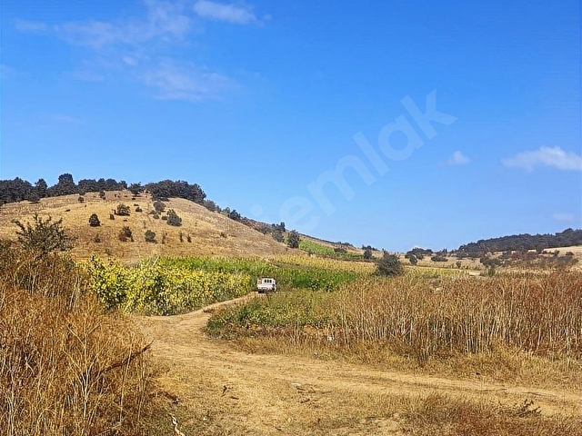 BİLECİK OSMANELİ BOYUNKAYA MAHALLESİ CADDE ÜZERİ 3.500m2 SATILIK - Görsel 15