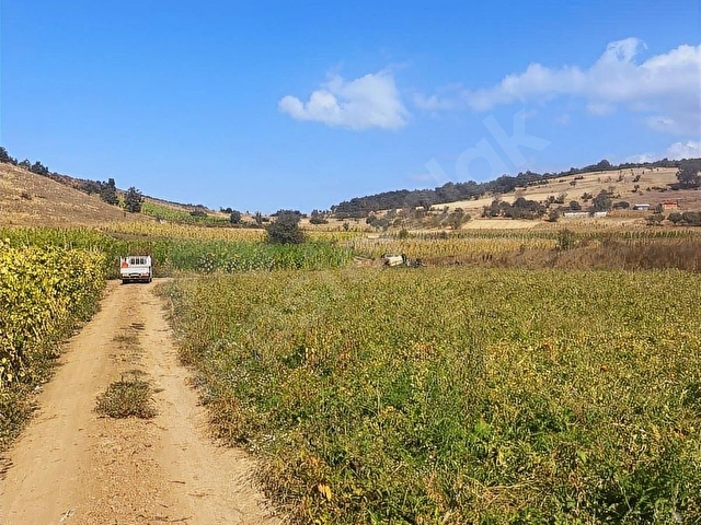 BİLECİK OSMANELİ BOYUNKAYA MAHALLESİ CADDE ÜZERİ 3.500m2 SATILIK - Görsel 5