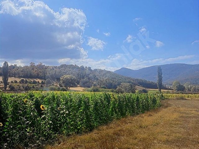 BİLECİK OSMANELİ BOYUNKAYA MAHALLESİ CADDE ÜZERİ 3.500m2 SATILIK - Görsel 14