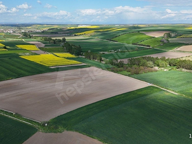 Babaeski Yenimahallede Satılık 6883 M2 Tarla - Görsel 13