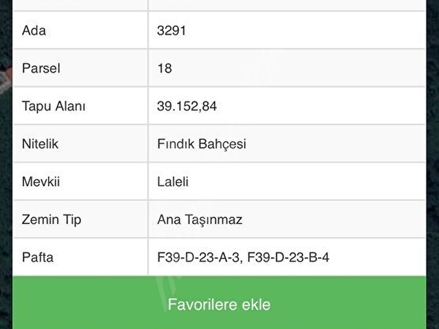CİHANGİR EMLAKTAN SATILIK FINDIK BAHÇESİ - Görsel 13