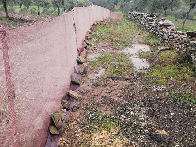 HAYALETTEN KARAPINARDA ÇİFTLİK ARAZİSİ - Görsel 3