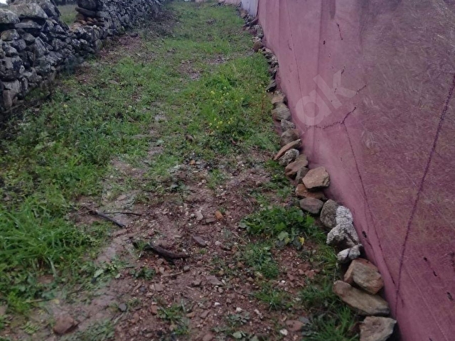 HAYALETTEN KARAPINARDA ÇİFTLİK ARAZİSİ - Görsel 5