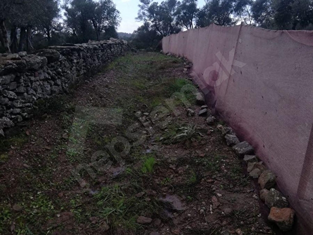 HAYALETTEN KARAPINARDA ÇİFTLİK ARAZİSİ - Görsel 12