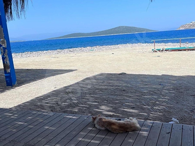 BODRUM GÜNDOĞAN ÖZEL PLAJLI SITEDE SATILIK İMARLI ARSA - Görsel 30