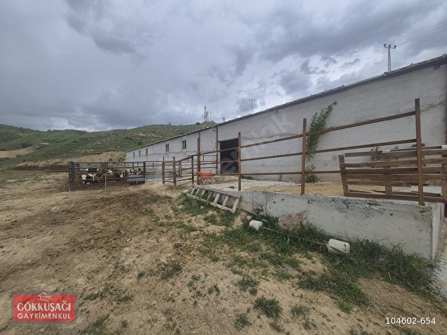 SİRKELİ DE 210 BAŞLIK AHIR 5 ADET İMARLI ARSA 2 ADET EV - Görsel 15