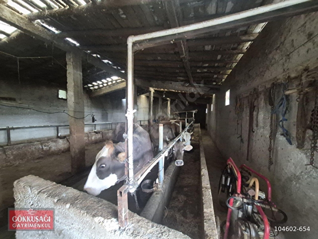 SİRKELİ DE 210 BAŞLIK AHIR 5 ADET İMARLI ARSA 2 ADET EV - Görsel 2