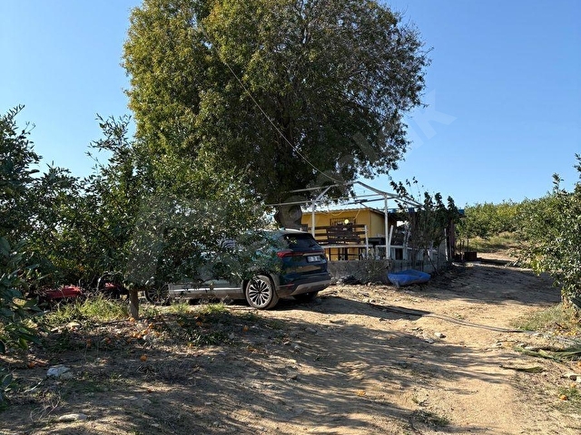 KARAİSALI KUZGUN KÖYÜNDE TOPLAM 110.000 M2 SATILIK BAHÇE