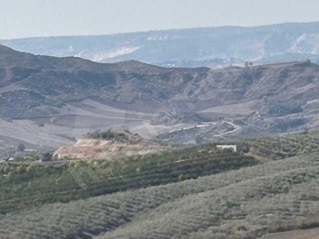 KARAİSALI KUZGUN KÖYÜNDE TOPLAM 110.000 M2 SATILIK BAHÇE - Görsel 3
