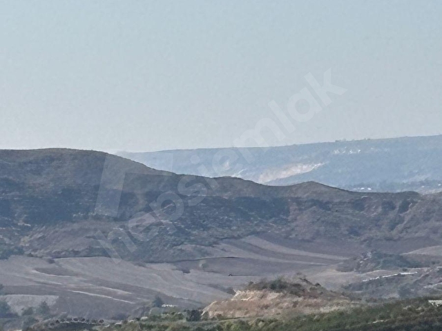 KARAİSALI KUZGUN KÖYÜNDE TOPLAM 110.000 M2 SATILIK BAHÇE - Görsel 5