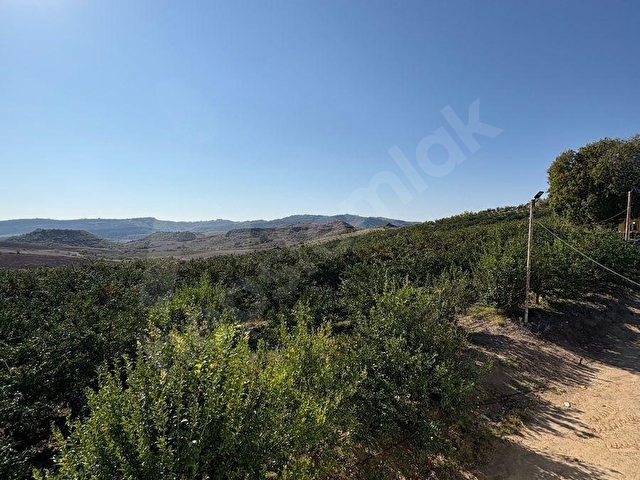 KARAİSALI KUZGUN KÖYÜNDE TOPLAM 110.000 M2 SATILIK BAHÇE - Görsel 14