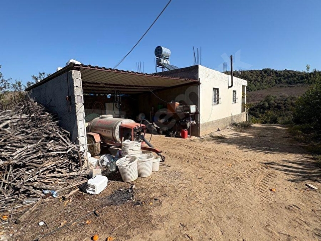 KARAİSALI KUZGUN KÖYÜNDE TOPLAM 110.000 M2 SATILIK BAHÇE - Görsel 18