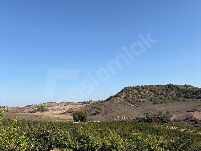 KARAİSALI KUZGUN KÖYÜNDE TOPLAM 110.000 M2 SATILIK BAHÇE - Görsel 27