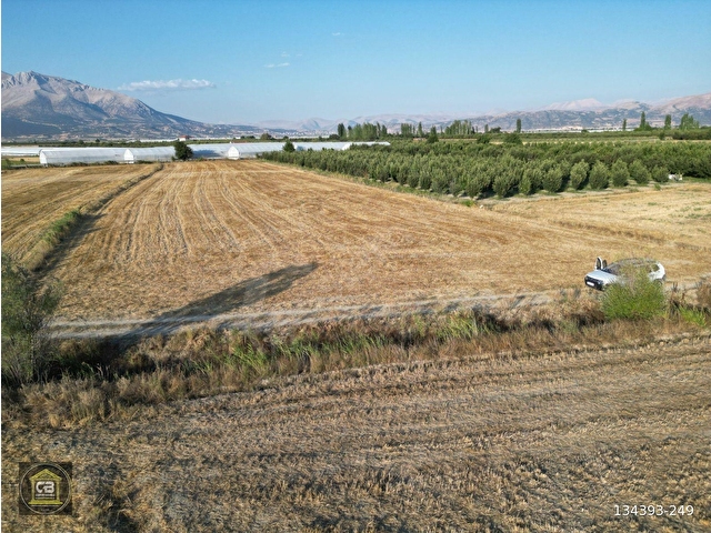 ELMALI TAVULLAR MAH.7.815 m² TARLA SATILIKTIR - Görsel 21