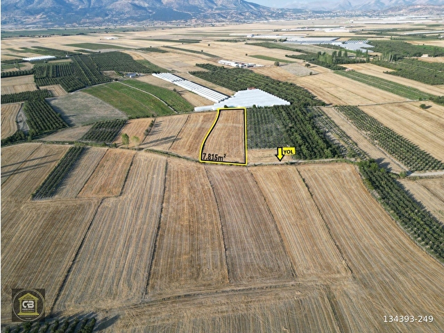 ELMALI TAVULLAR MAH.7.815 m² TARLA SATILIKTIR - Görsel 2