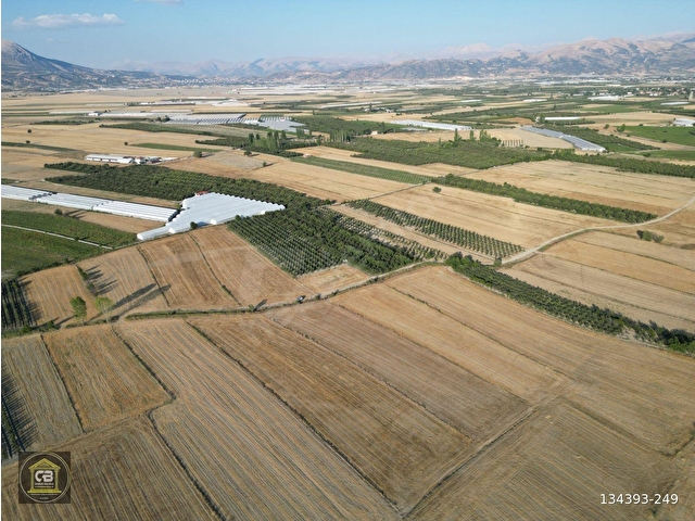 ELMALI TAVULLAR MAH.7.815 m² TARLA SATILIKTIR - Görsel 6