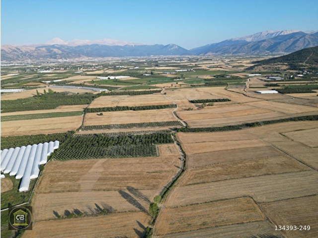 ELMALI TAVULLAR MAH.7.815 m² TARLA SATILIKTIR - Görsel 8
