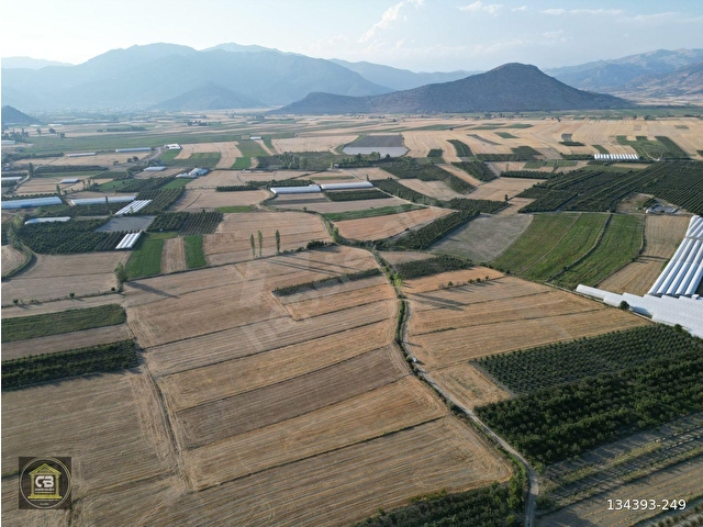 ELMALI TAVULLAR MAH.7.815 m² TARLA SATILIKTIR - Görsel 13