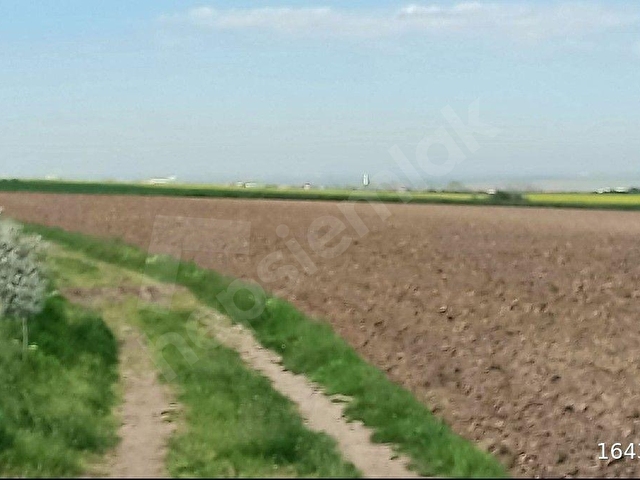 SARAY SİNANLI MAHALLESİ’NDE SATILIK TARLA 15.024 m2 - Görsel 4