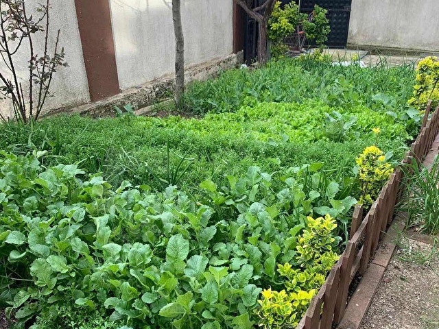 ARNAVUTKÖY YENİKÖYDE 5 DAİRELİ ÜÇ KATLI SATILIK YAZLIK BİNA