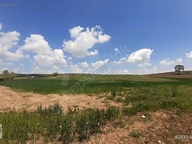 SEYİTGAZİ YEŞİLTEPE MAHALLESİNDE 10 DÖNÜM SATILIK TARLA - Görsel 8