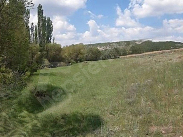 SEYİTGAZİ YEŞİLTEPE MAHALLESİNDE 10 DÖNÜM SATILIK TARLA - Görsel 12
