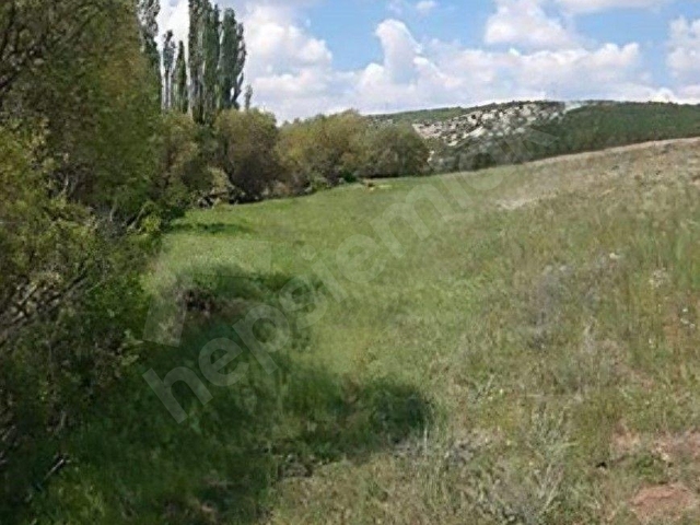 SEYİTGAZİ YEŞİLTEPE MAHALLESİNDE 10 DÖNÜM SATILIK TARLA - Görsel 14