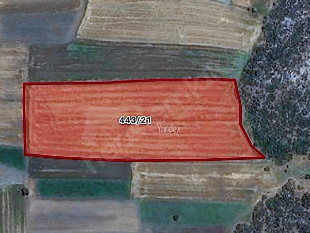 DÖŞEMEALTI BADEMAĞACINDA TEK TAPU TAMAMI SATILIK 24.474 M2 TARLA - Görsel 10