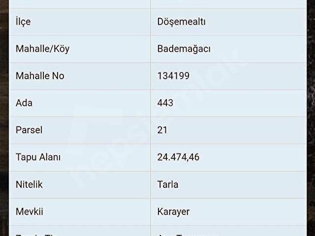 DÖŞEMEALTI BADEMAĞACINDA TEK TAPU TAMAMI SATILIK 24.474 M2 TARLA - Görsel 9
