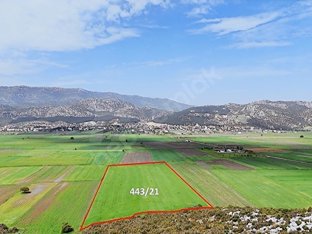 DÖŞEMEALTI BADEMAĞACINDA TEK TAPU TAMAMI SATILIK 24.474 M2 TARLA - Görsel 5