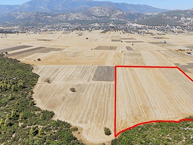 DÖŞEMEALTI BADEMAĞACINDA TEK TAPU TAMAMI SATILIK 24.474 M2 TARLA