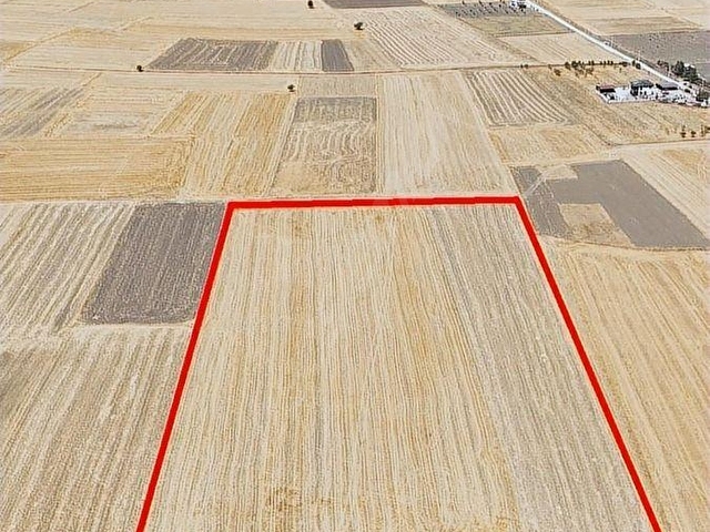 DÖŞEMEALTI BADEMAĞACINDA TEK TAPU TAMAMI SATILIK 24.474 M2 TARLA - Görsel 3