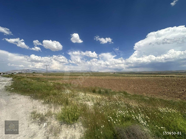 Niğde Bor Kemerhisarda Ana Yola Cephe 10.913 m² Satılık Tarla - Görsel 17