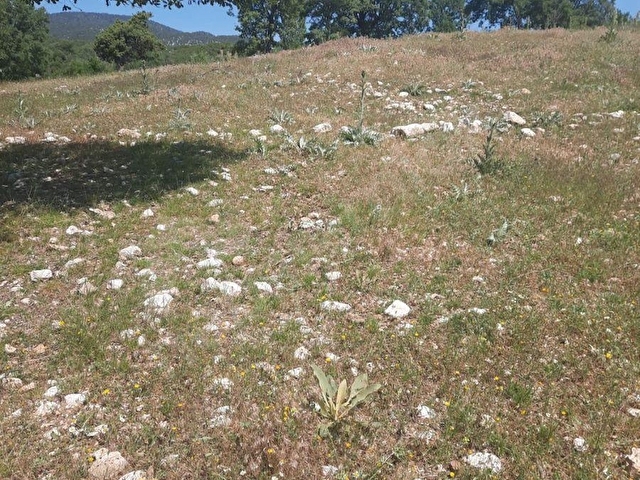 SEYDİKEMER YAYLA PATLANGIÇ 900 M2 ARAZİ - Görsel 14