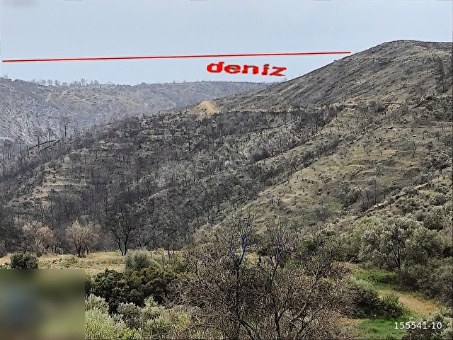 Muğla Milas Bozalan mahallesinde arazi - Görsel 18