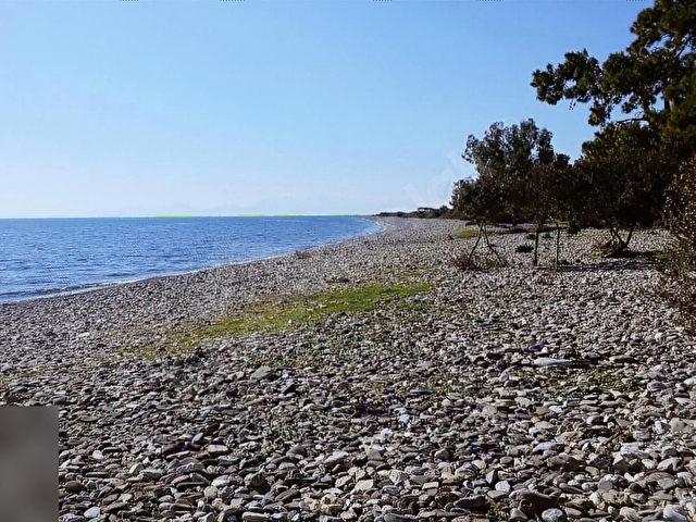 Muğla Milas Bozalan mahallesinde arazi - Görsel 7
