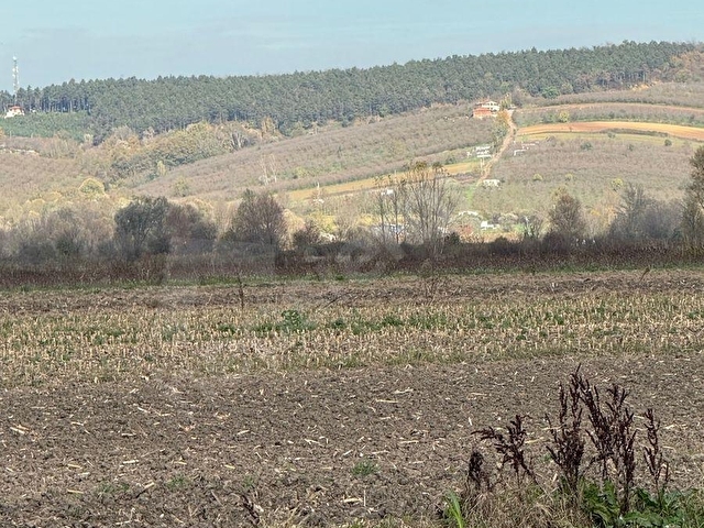 KOZZA GAYRİMENKUL ‘DEN SÖĞÜTLÜ ORGANİZE SANAYİ YOLU ÜZERİNDE E-5 YAKIN SATILIK TARLA …341 - Görsel 7