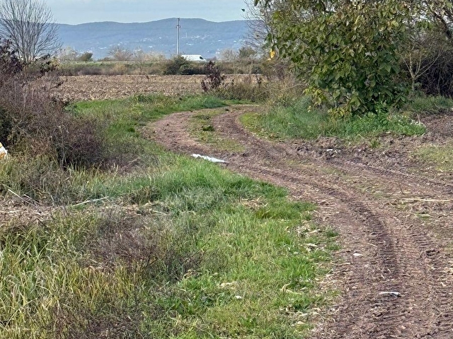 KOZZA GAYRİMENKUL ‘DEN SÖĞÜTLÜ ORGANİZE SANAYİ YOLU ÜZERİNDE E-5 YAKIN SATILIK TARLA …341 - Görsel 12