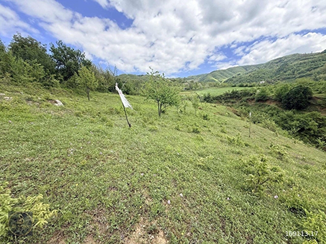 Bİ·NOVADAN CANİK GÖLALAN ŞELALERİ YANINDA SATILIK 3805 M² TARLA - Görsel 10