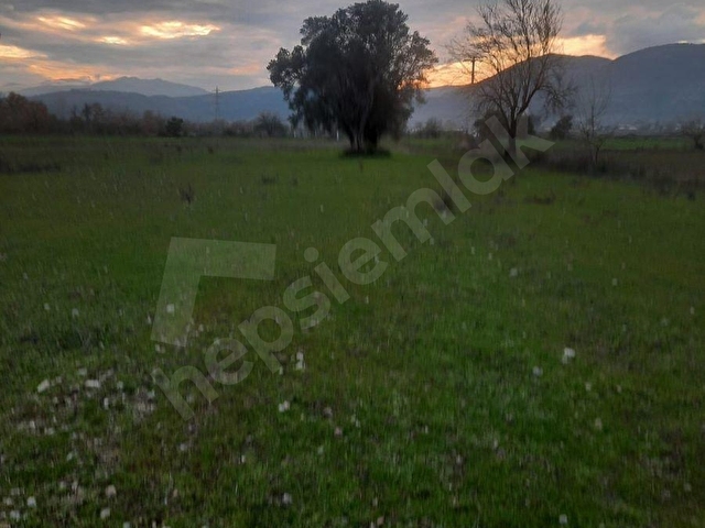 SEYDİKEMER ÖREN MH 2850 M2 ARAZİ - Görsel 8